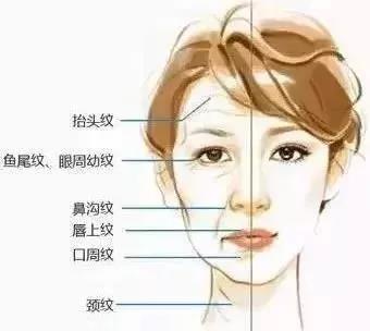 進(jìn)口和國(guó)產(chǎn)瘦臉有什么區(qū)別？2分鐘看懂