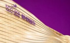 2024年衡陽市做眼袋手術(shù)醫(yī)院排行榜，哪家整形醫(yī)院更有實(shí)力？